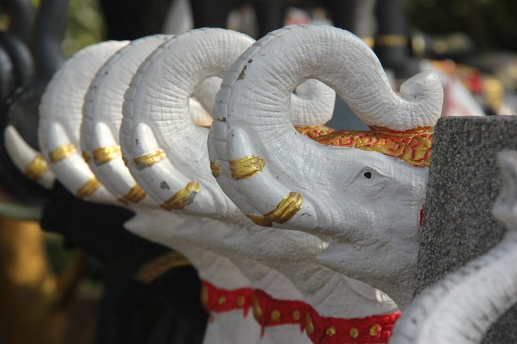 Phuket Tourist H sml