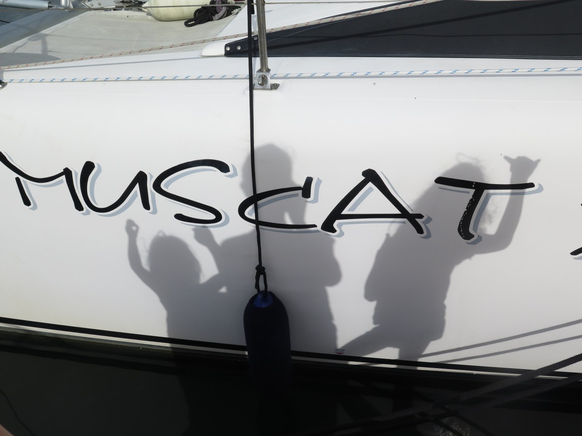 March 2019 Australia / New Zealand Zinc sailing on HUDSON